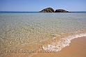 Chia (40D_11817_2rid)